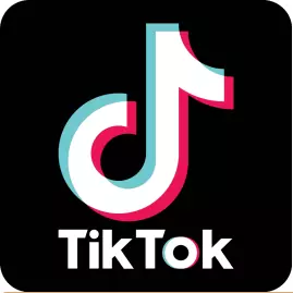 2024年Tiktok官方版下载 最新国际版抖音TikTok安卓App下载